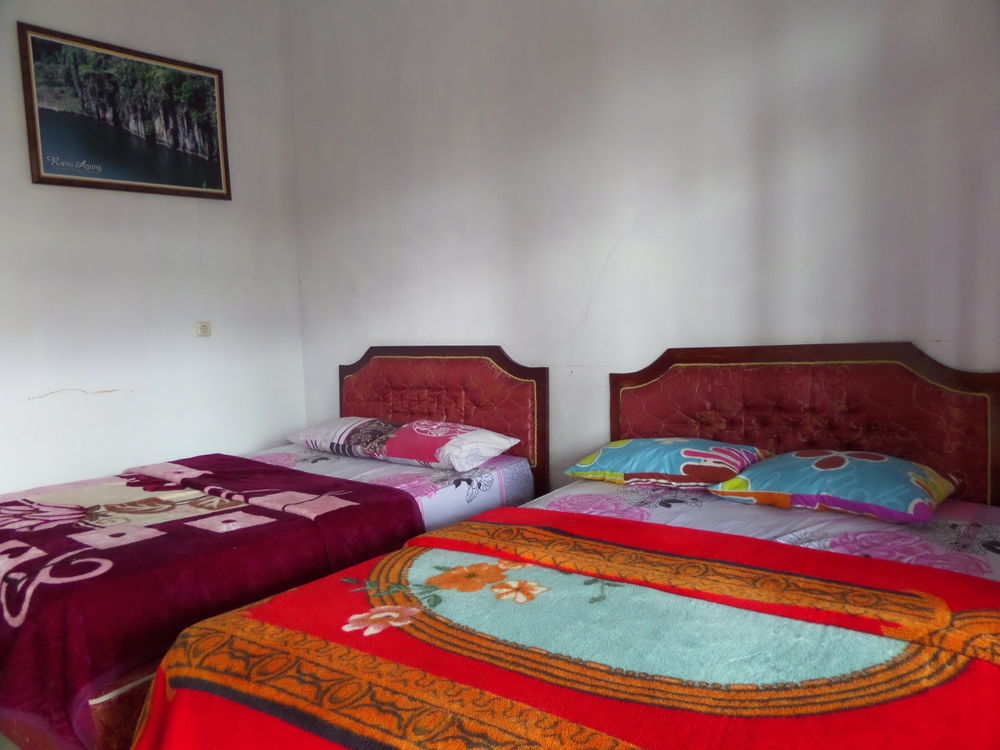 Hotel Nadia Бромо Экстерьер фото